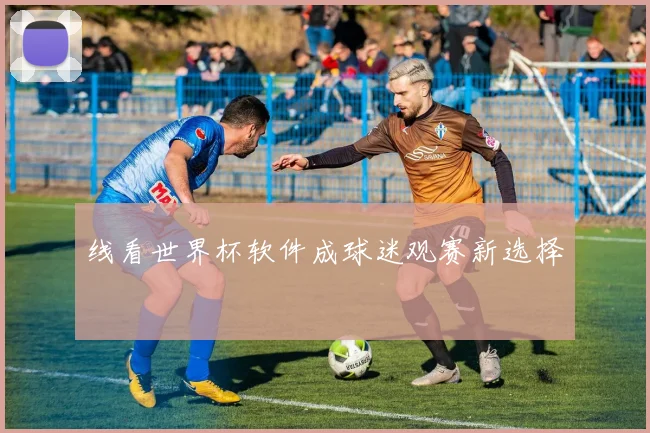 线看世界杯软件成球迷观赛新选择