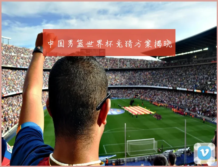 中国男篮世界杯竞猜方案揭晓